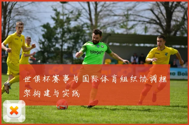 世俱杯赛事与国际体育组织协调框架构建与实践